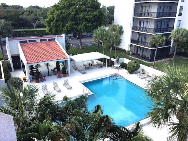 view of pool with a patio area