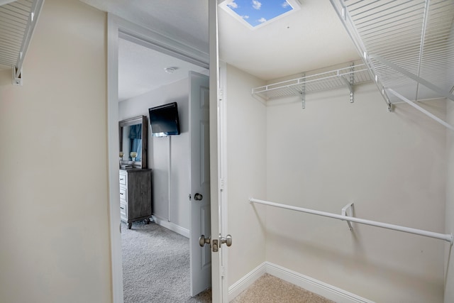 spacious closet featuring carpet floors