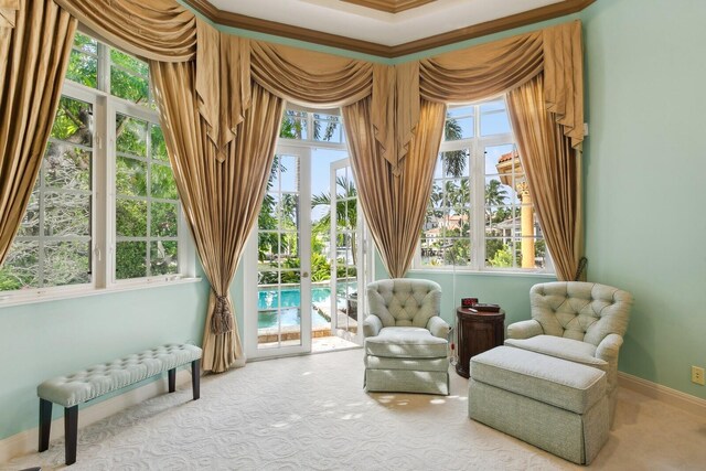 sitting room with carpet floors, radiator heating unit, and a healthy amount of sunlight