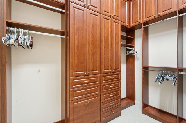 spacious closet with wood-type flooring