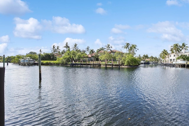 view of water feature with a boat dock