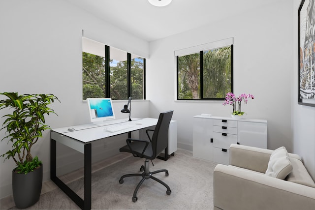 home office with light colored carpet and a healthy amount of sunlight