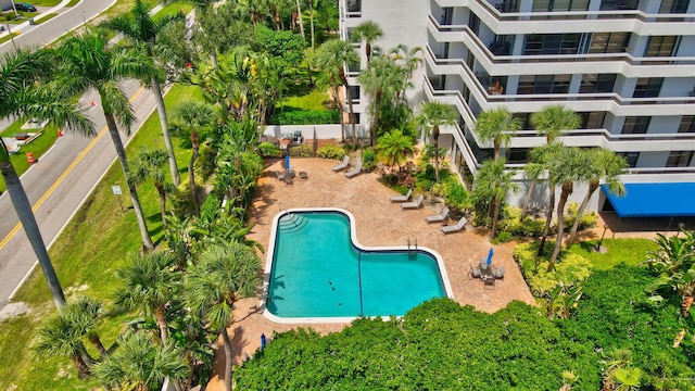 view of swimming pool with a patio area