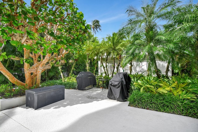 view of patio / terrace with a grill