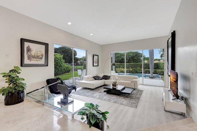 living room with light hardwood / wood-style floors and a healthy amount of sunlight