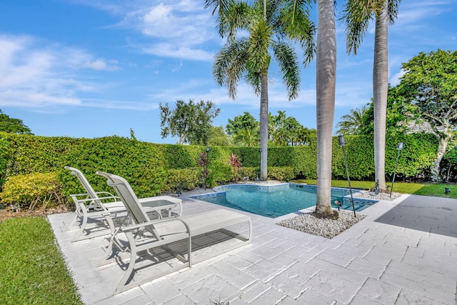 view of pool with a patio