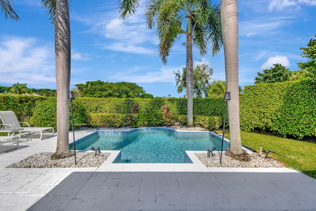 view of pool with a patio area