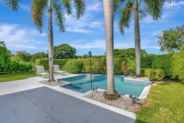 view of swimming pool featuring a patio area