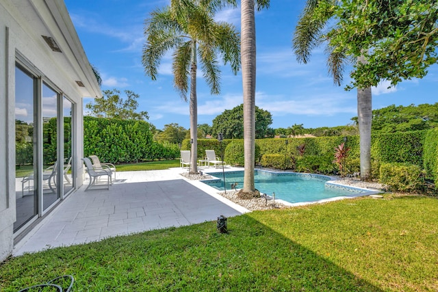 view of swimming pool featuring a yard and a patio