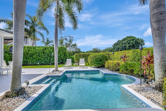 view of swimming pool featuring a patio area