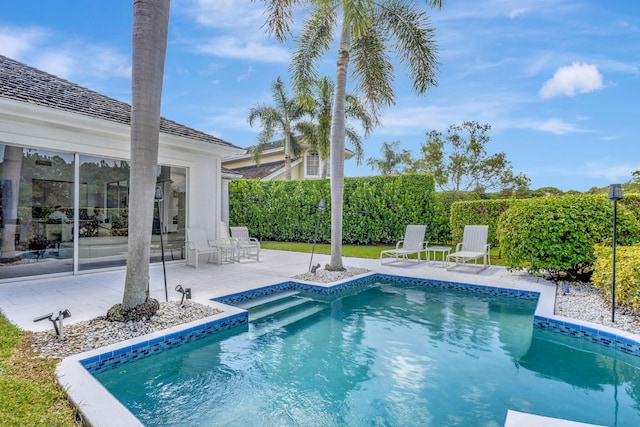 view of swimming pool with a patio area