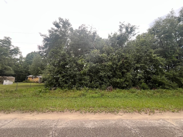 Listing photo 3 for 0 Sioux Ave, Interlachen FL 32148