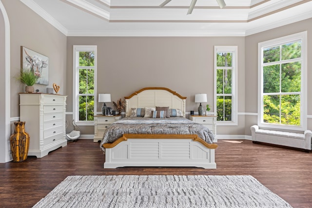 bedroom featuring ceiling fan, ornamental molding, and dark hardwood / wood-style flooring