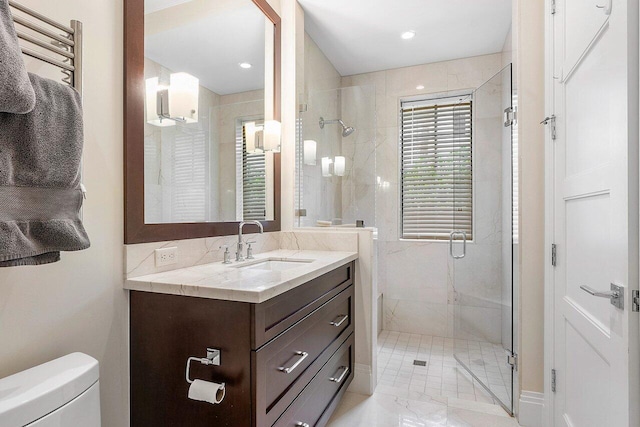 bathroom with vanity, toilet, and a shower stall