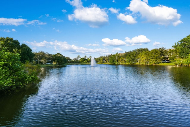 water view