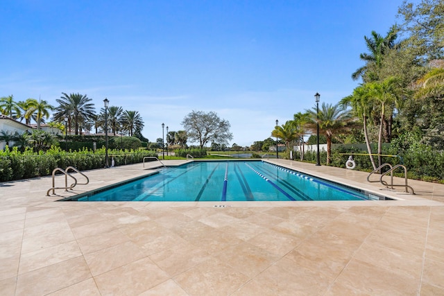 view of pool featuring a patio