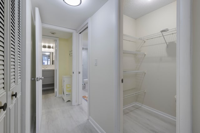 interior space featuring light hardwood / wood-style flooring