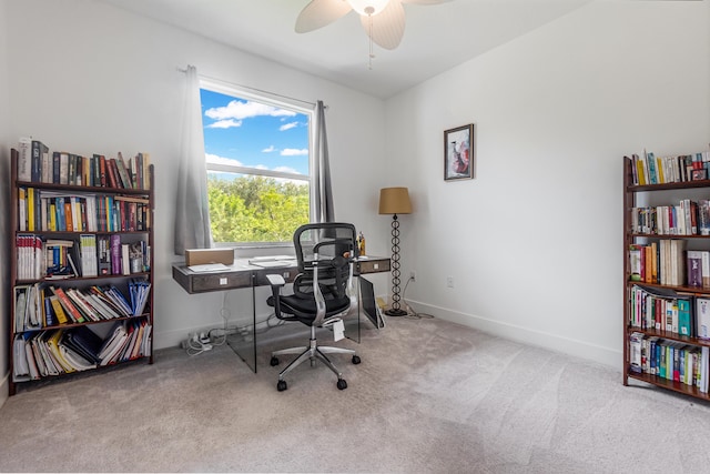 office featuring light carpet