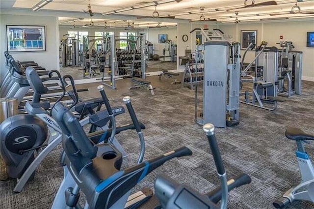 exercise room featuring carpet floors