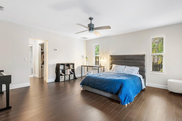 bedroom with hardwood / wood-style floors, ceiling fan, and a walk in closet