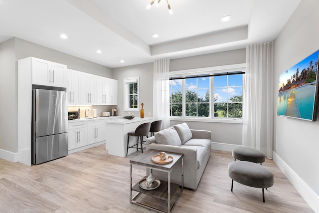 living room featuring sink, a raised ceiling, and light hardwood / wood-style flooring