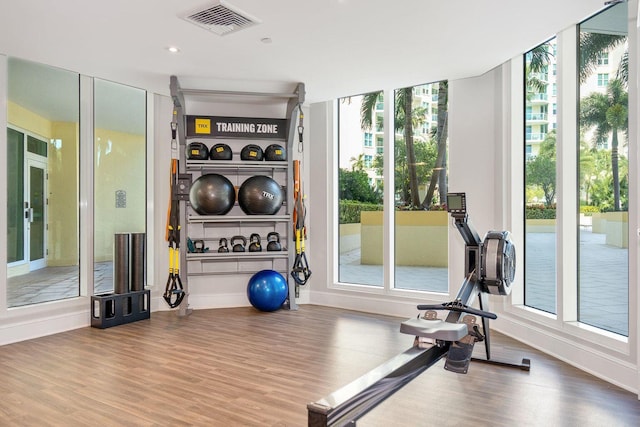 workout room with a healthy amount of sunlight and hardwood / wood-style floors