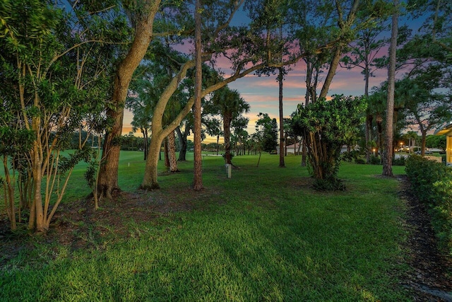 view of yard at dusk