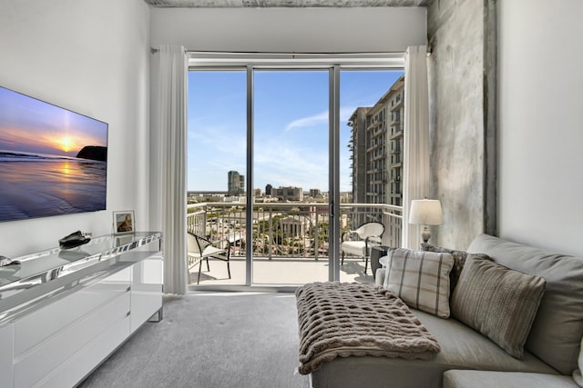 living room featuring a city view and carpet flooring