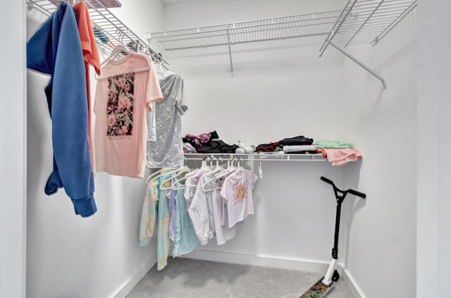 walk in closet featuring carpet flooring