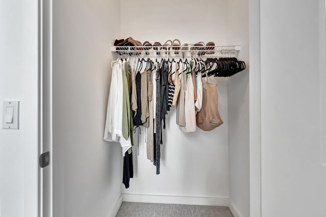 walk in closet with carpet floors