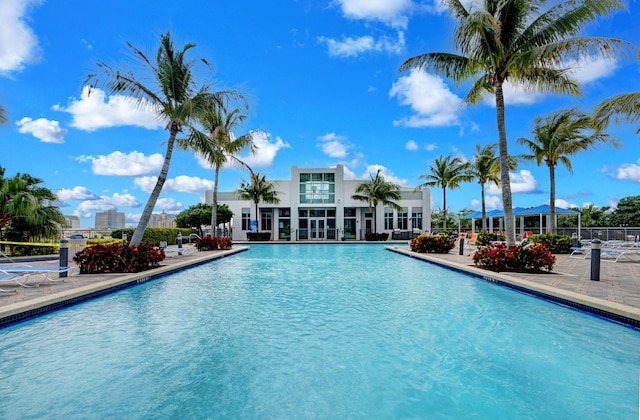 view of pool with a patio