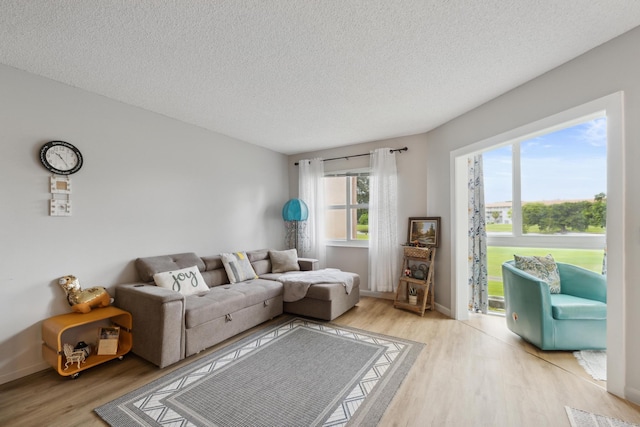 living room with wood-type flooring and a textured ceiling