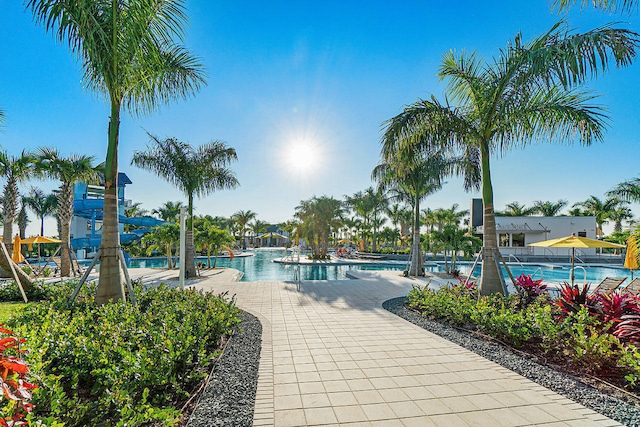 view of swimming pool with a patio area