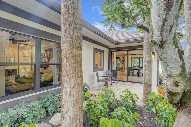 back of house with a patio area