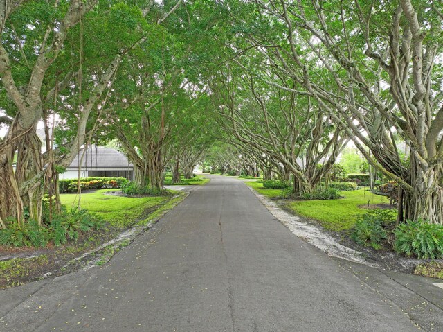 view of road