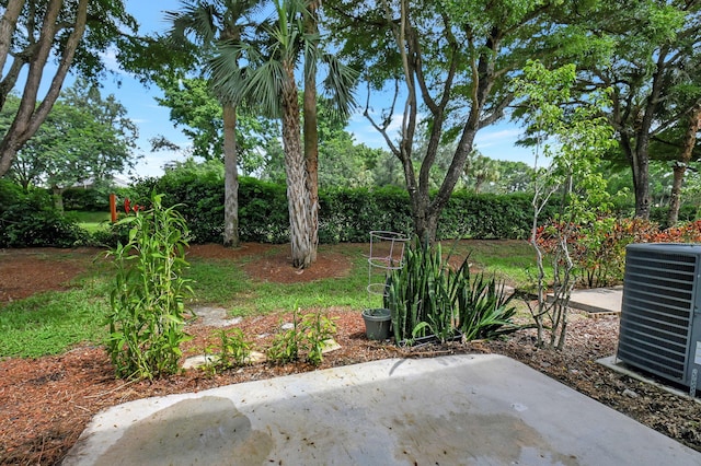 view of yard featuring a patio area and cooling unit