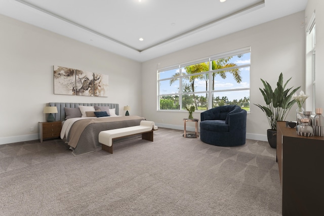 carpeted bedroom with a tray ceiling