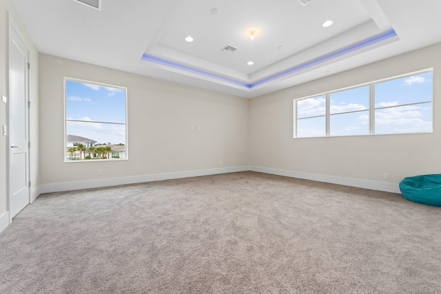 empty room featuring a wealth of natural light, a raised ceiling, and light carpet