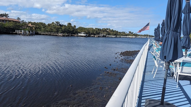 dock area with a water view