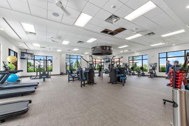 gym featuring light carpet and a drop ceiling