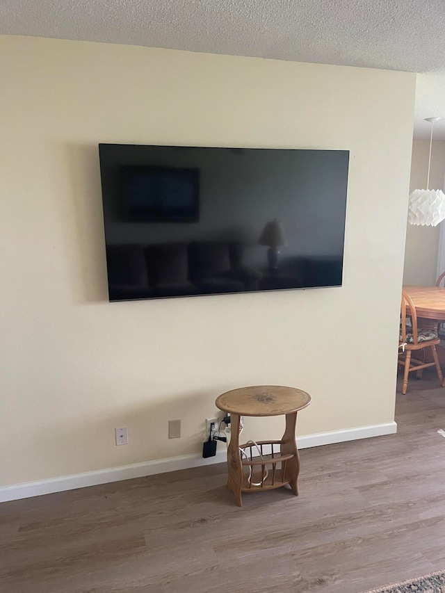 details featuring hardwood / wood-style flooring and a textured ceiling