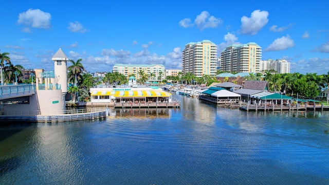 property view of water featuring a dock