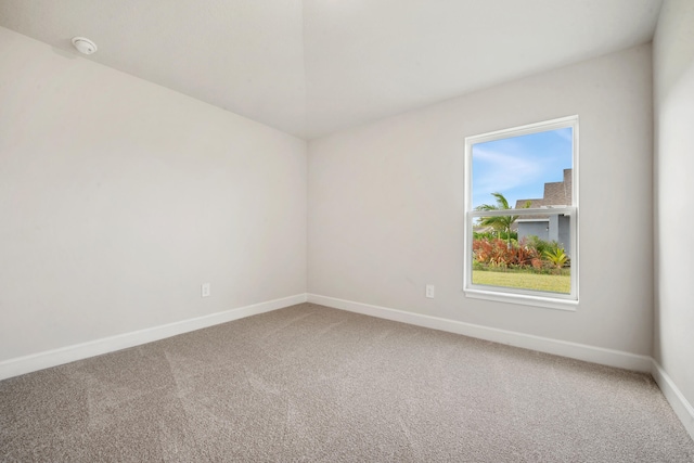 empty room featuring carpet