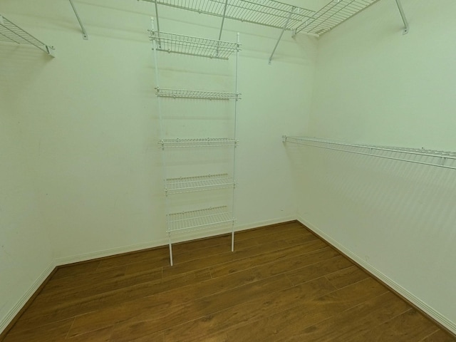 spacious closet featuring hardwood / wood-style floors