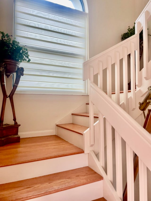 stairs with hardwood / wood-style flooring