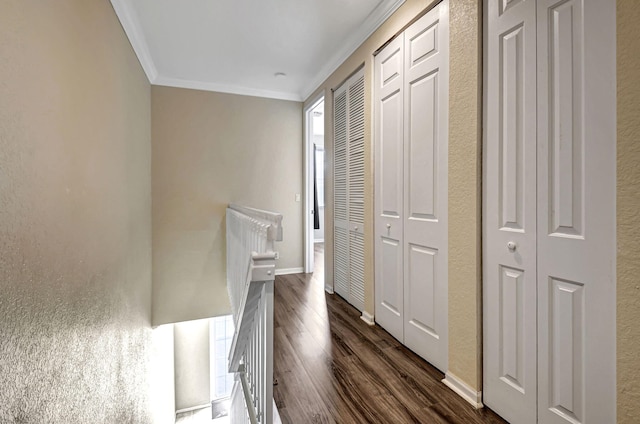 corridor featuring crown molding and dark wood-type flooring