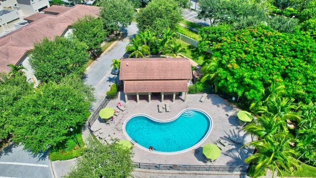 view of swimming pool with a patio