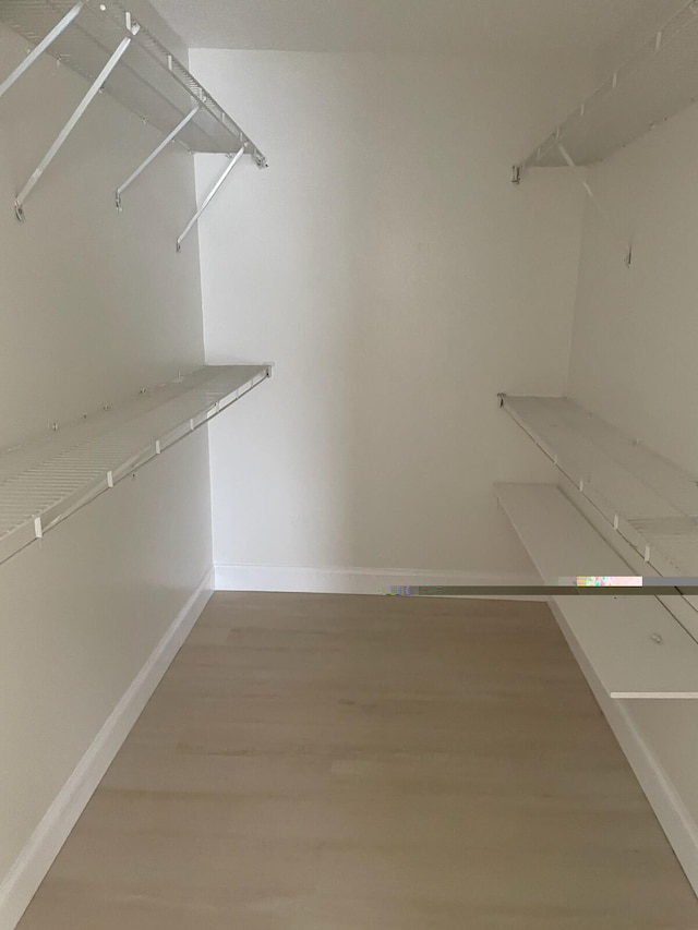 spacious closet featuring wood-type flooring