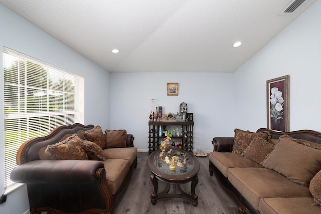 living room featuring vaulted ceiling and wood-type flooring