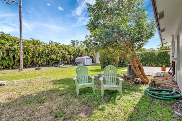 view of yard featuring a shed